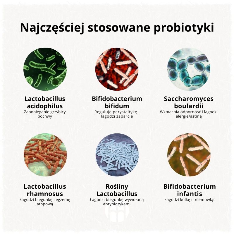 (Polština) Příčiny mozkové mlhy